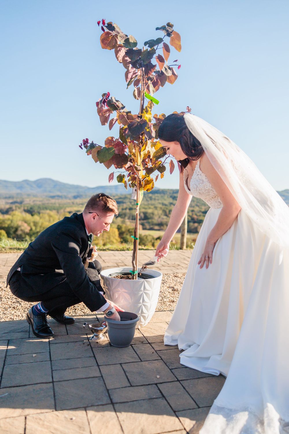 Couple planting a ceremonial tree together at outdoor wedding venue with mountain backdrop.