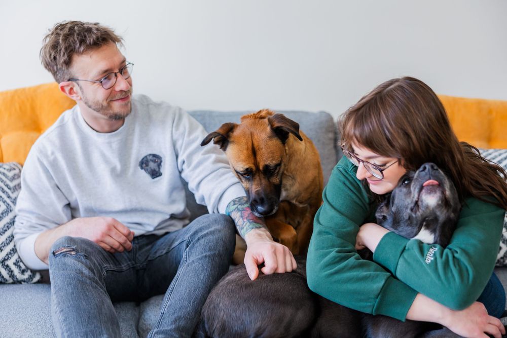 Family relaxing on orange couch with their brown and black dogs.