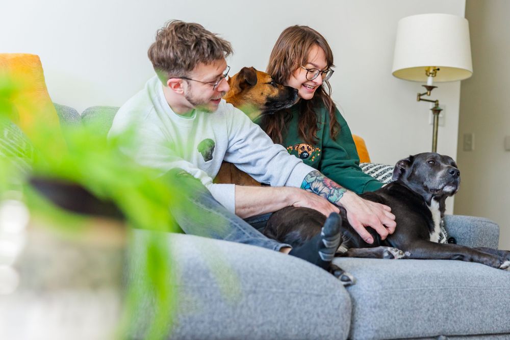Couple petting their black dog while relaxing on grey couch.