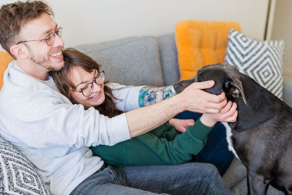 Couple on couch pets black dog while lounging together with orange throw pillows.