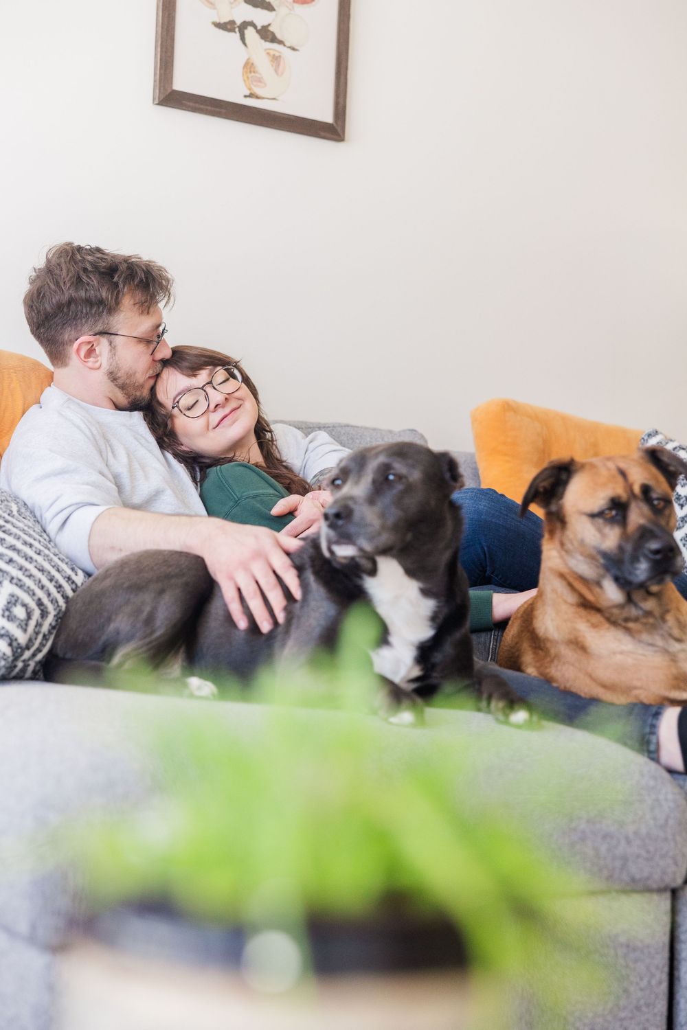 Happy couple cuddles on sofa with their two dogs under framed bird artwork.