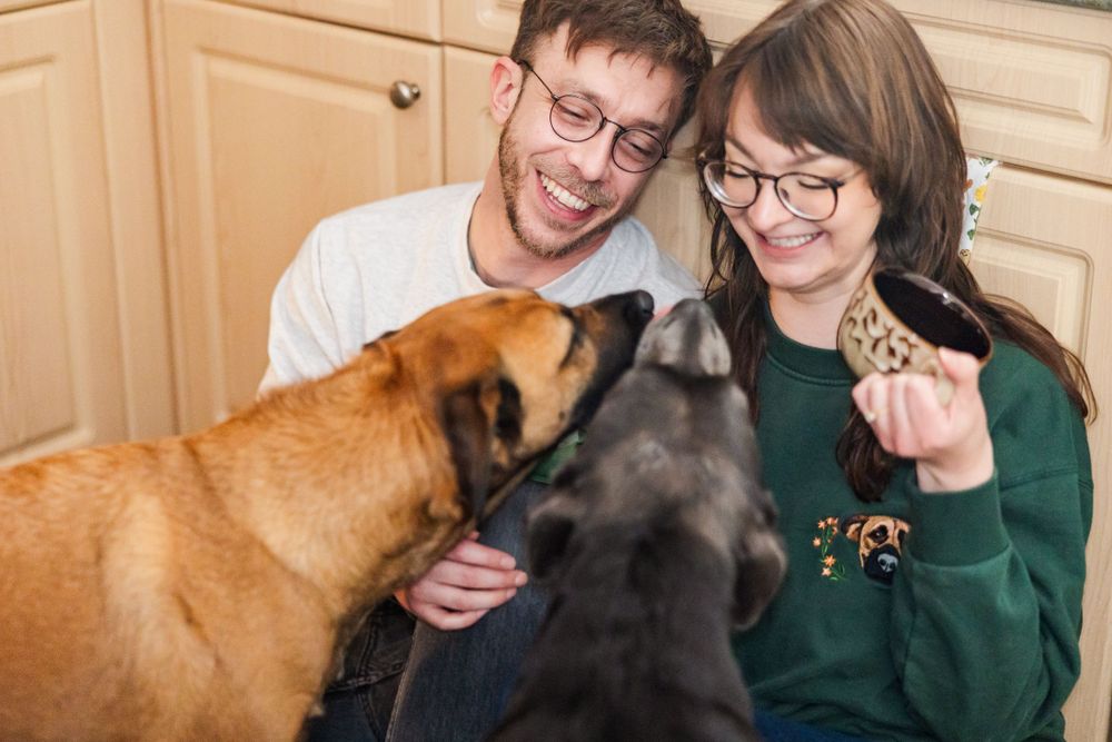 Couple feeds treats to excited black and brown dogs in kitchen.