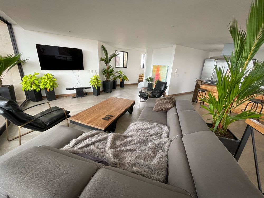 Spacious living room in Medellin Airbnb with abundant natural light and lush plants, creating a bright, inviting space.