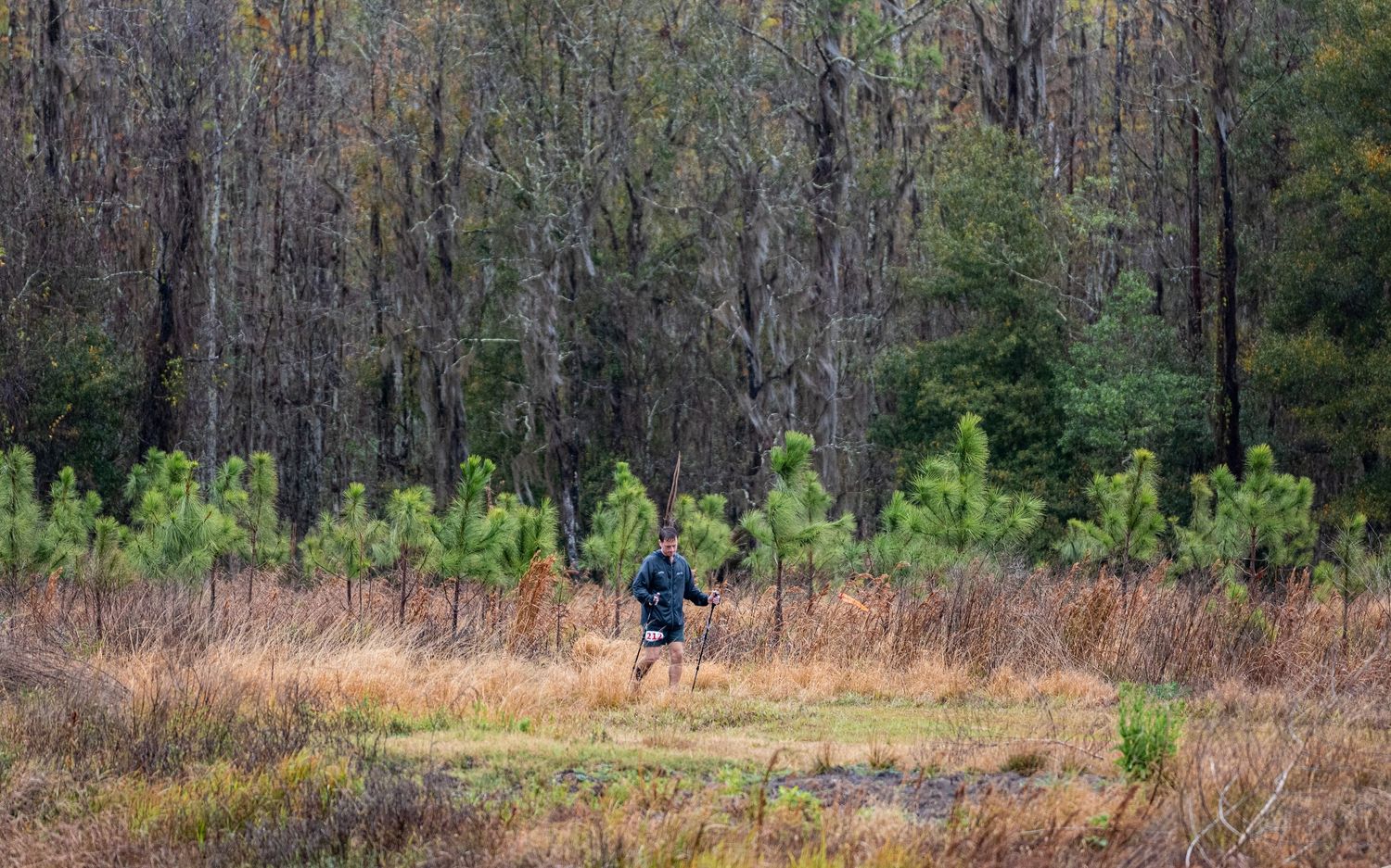 Distant runner crossing through meadow with forest backdrop during outdoor race.