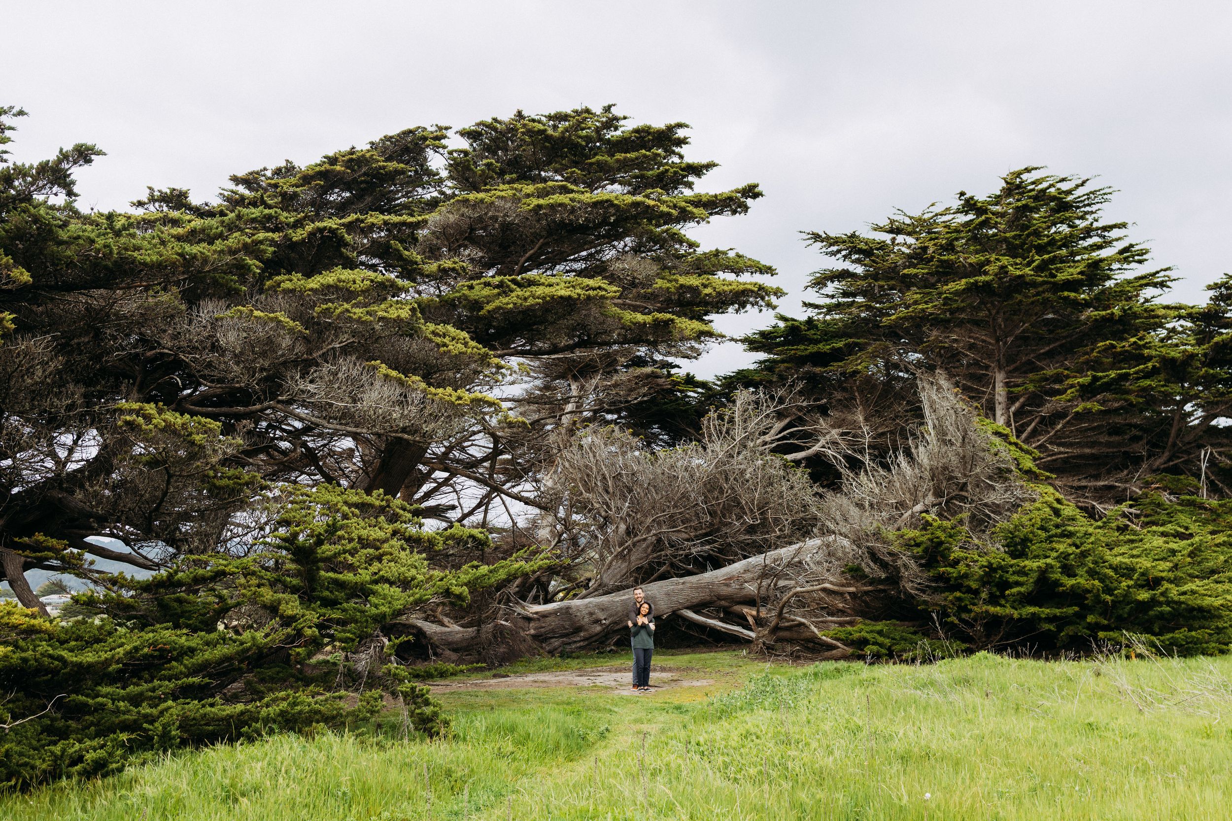 Half Moon Bay engagement photo