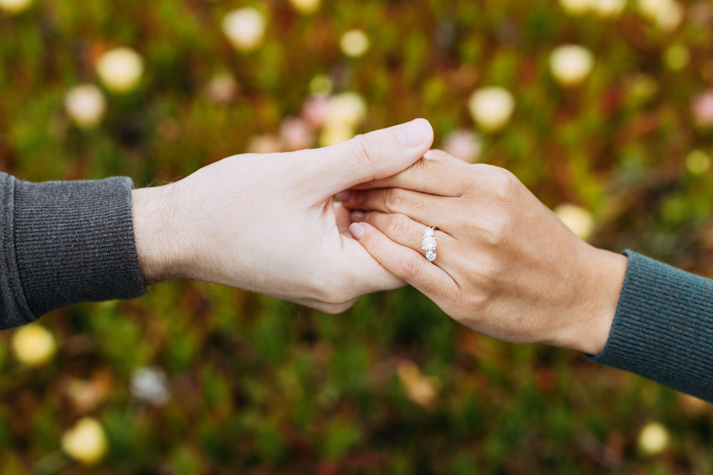 Ice plant engagement photo details