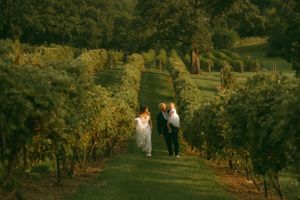 wedding at old oaks winery, Milan IL