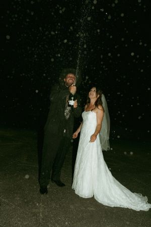 wedding photographers in rockfalls, IL