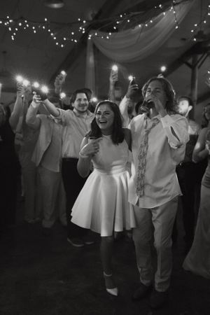 wedding at williams tree farm rockton, IL
