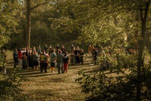 Viking Wedding