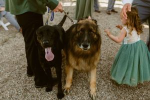 Wedding photographer Davenport IA, wedding photographer Bettendorf IA, wedding photographer Dubuque IA, 
creative wedding photographer