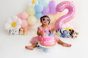 Toddler girl in pink tutu celebrates 2nd birthday with Bluey cake, colorful balloons, and stuffed animals.