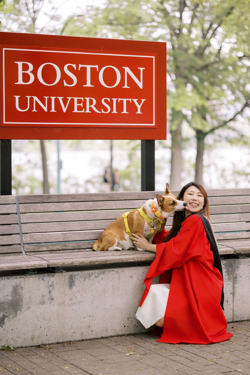 Boston University graduate in red gown smiles as a corgi licks her face on a bench by the BU sign.