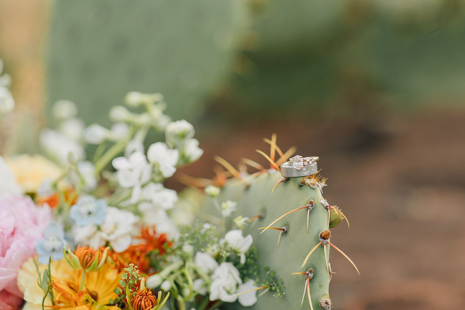 Wedding rings resting on a prickly pear cactus surrounded by colorful wildflowers including orange and yellow blooms.