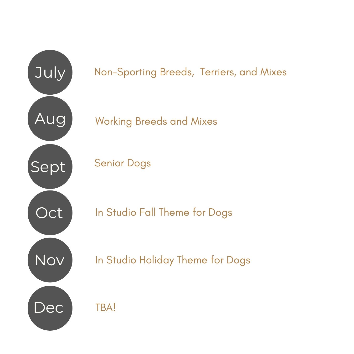 Calendar showing 'Dogs of the Month' photo event schedule with monthly themes for pet photography sessions.