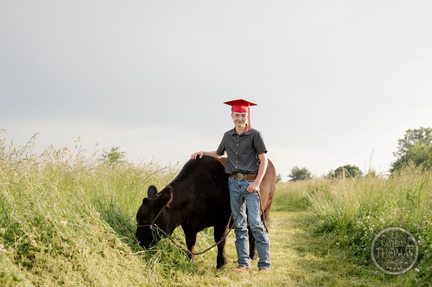Graduate in red cap stands alongside black cow grazing in tall grass.