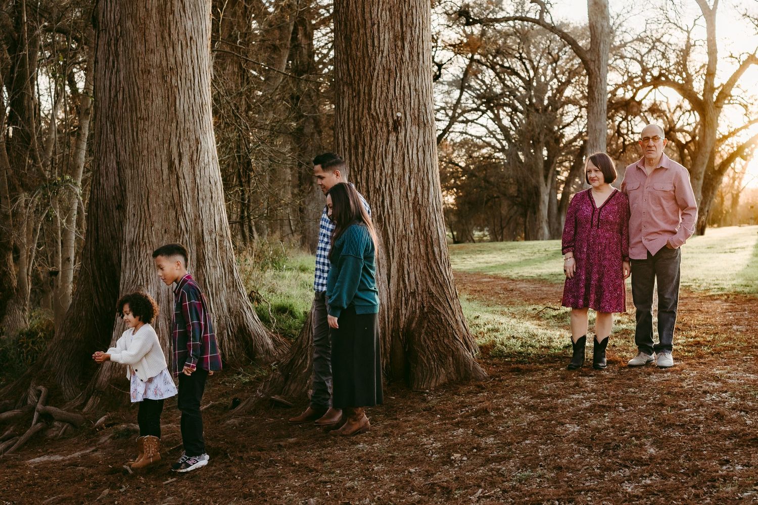 A group of people standing among large tree trunks in a forest at sunset with golden light filtering through.