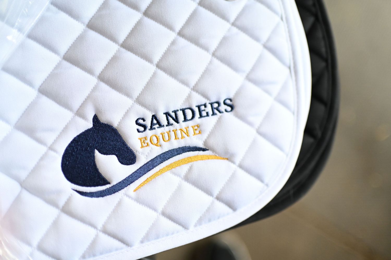 Artistic close-up of a bay horse's head wearing black bridle against dark background.