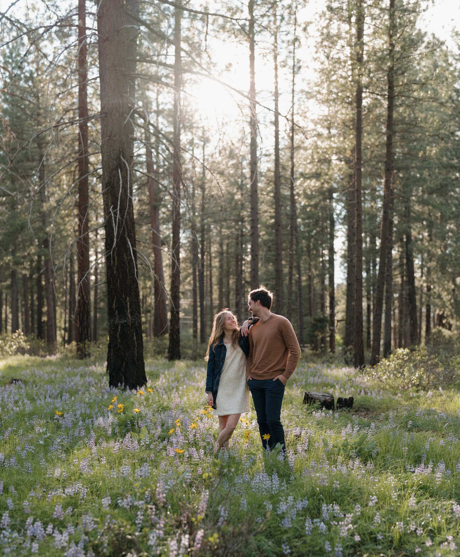 Couple standing in sun-dappled forest meadow with purple wildflowers, sharing a romantic moment among tall pine trees.