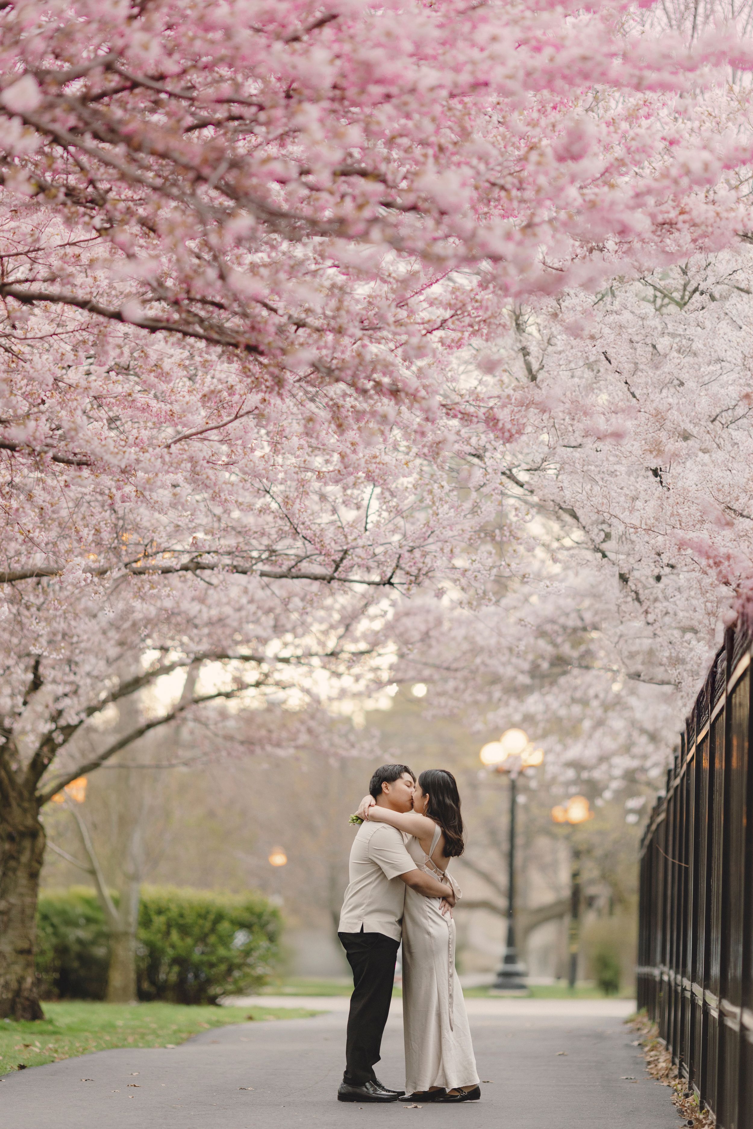cherry-blossom-engagement-session-Toronto.jpg
 cherry blossom engagement photoshoot in Toronto