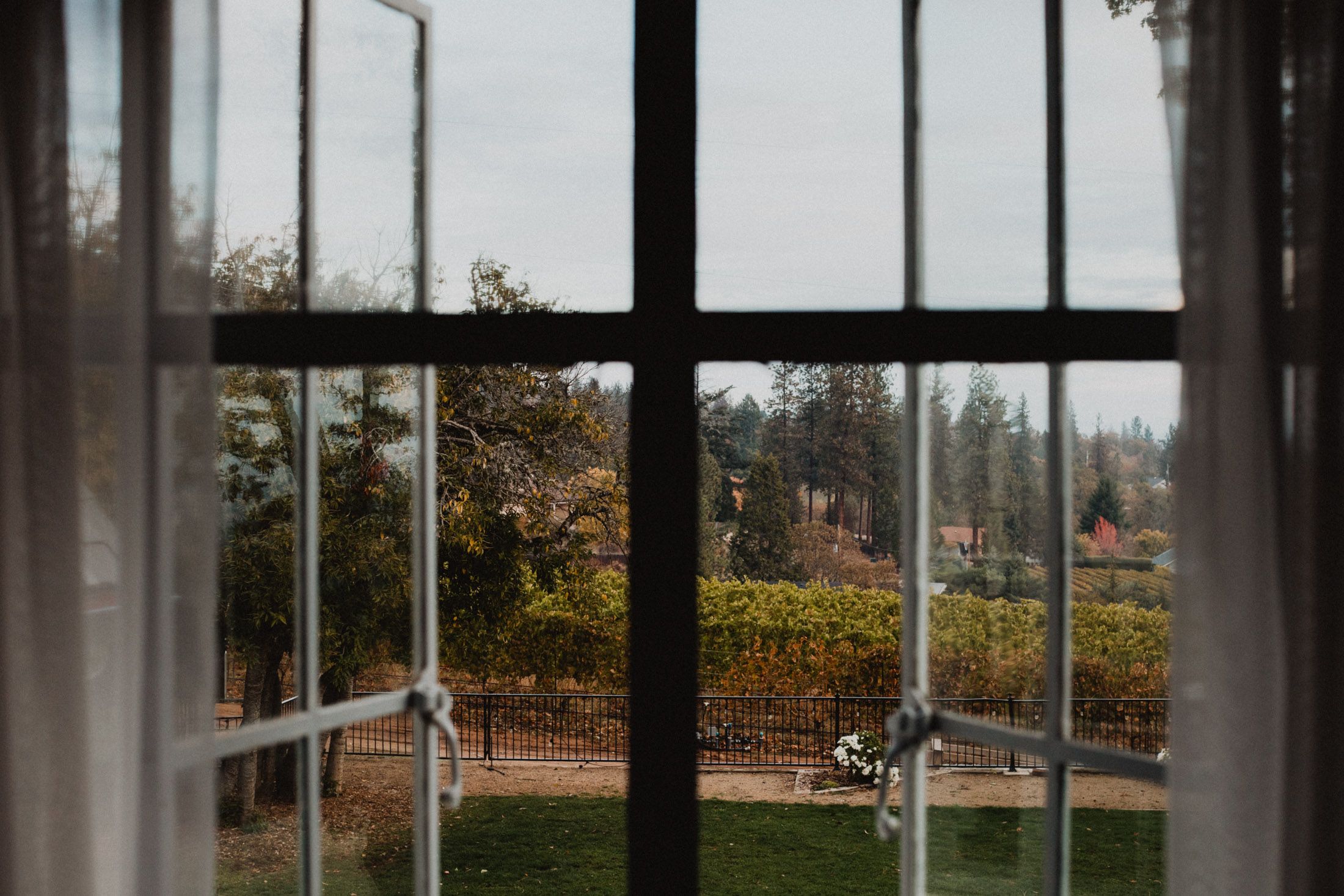 View through a window pane looking out at an autumn garden with trees and landscaping in the background.