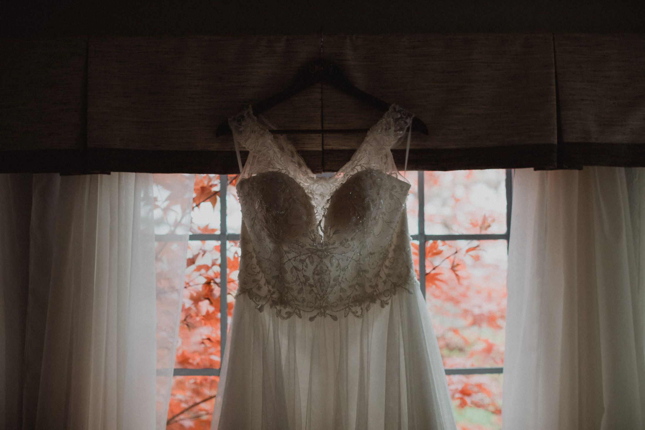 A dark room with sunlit curtains and autumn leaves visible through the window creates a moody atmosphere.