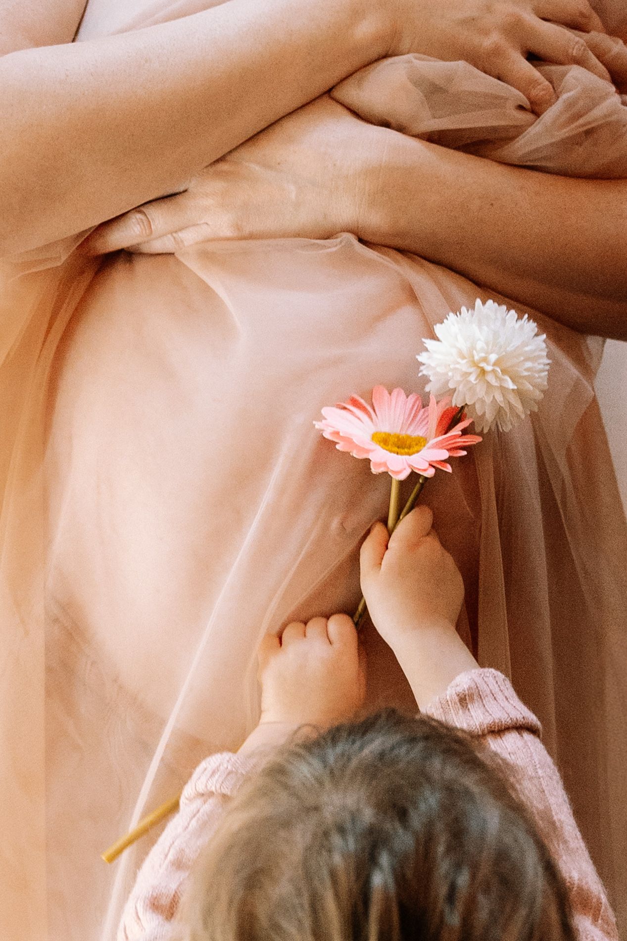Artistic composition of hands arranging flowers against a warm peachy backdrop with gentle lighting.