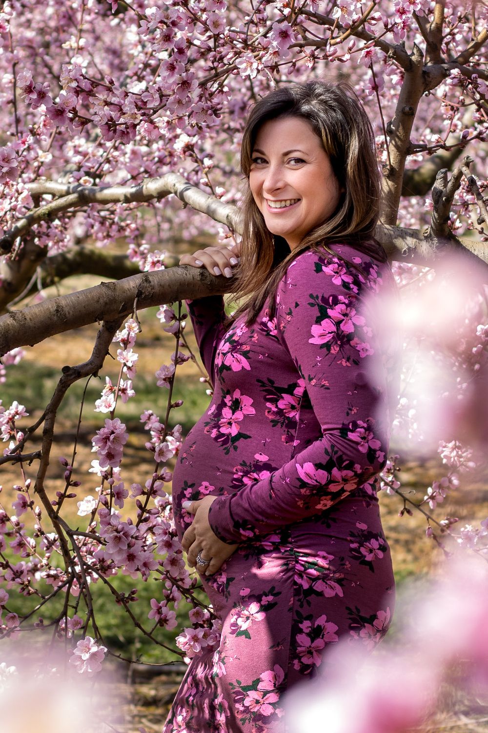 Beautiful spring maternity photo session in a blooming cherry blossom garden with pink flowers and magenta dress.