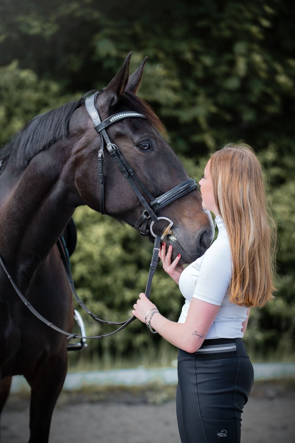 Fresia Visuals Equine
