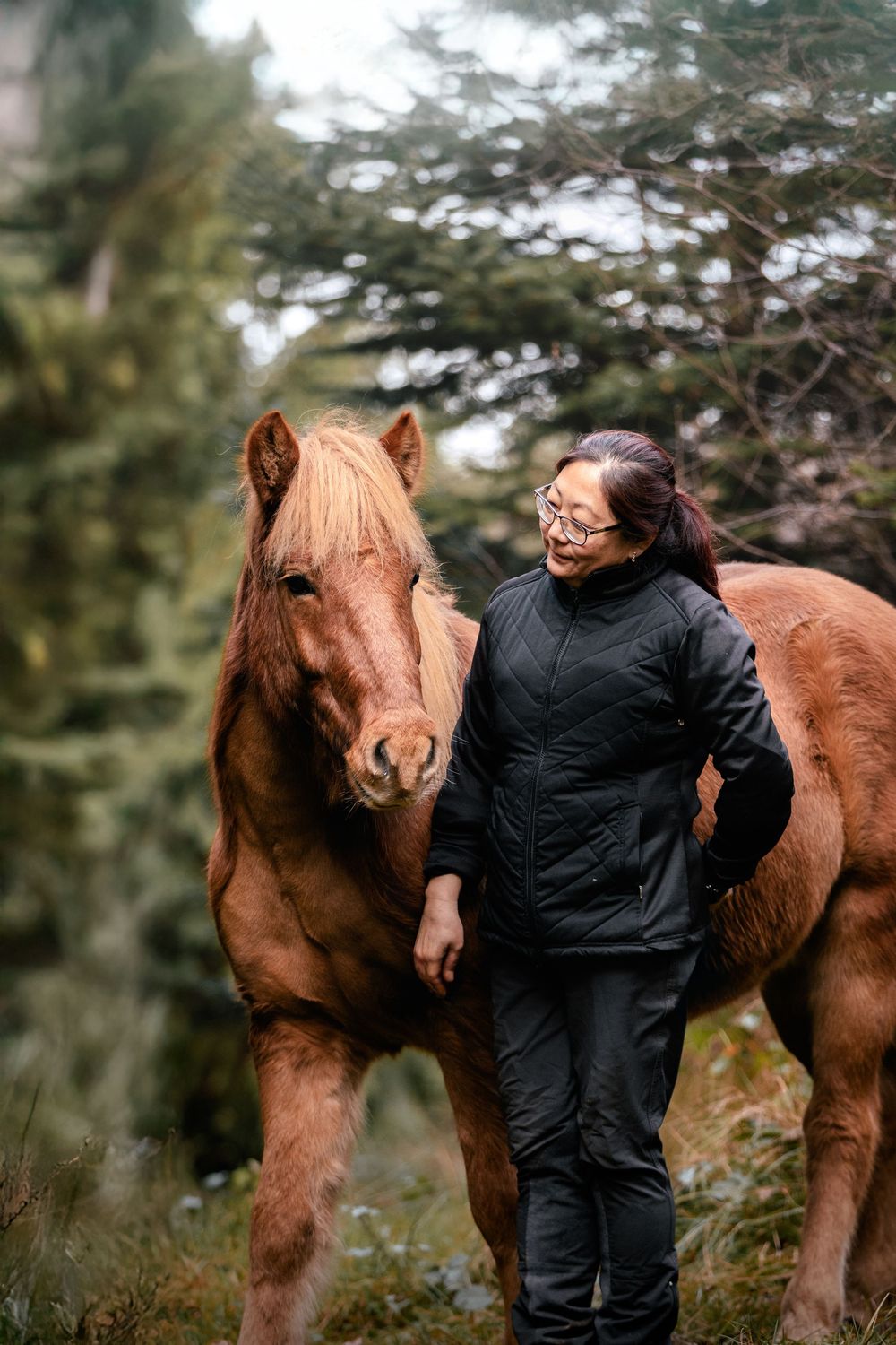 Fresia Visuals Equine
