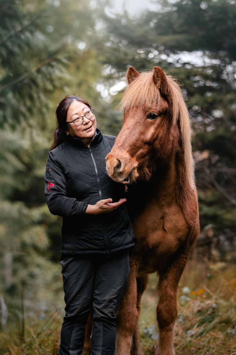 Fresia Visuals Equine