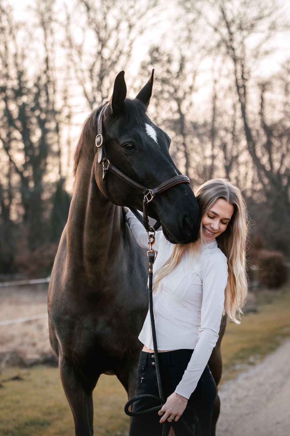 Fresia Visuals Equine