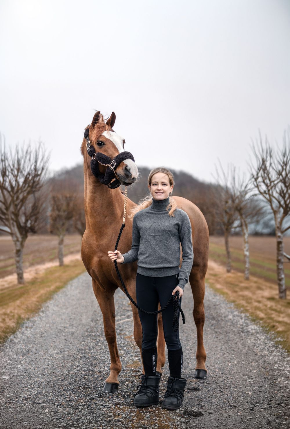 Fresia Visuals Equine