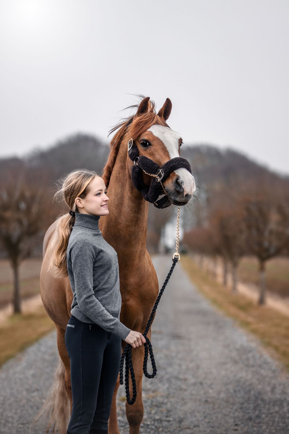 Fresia Visuals Equine