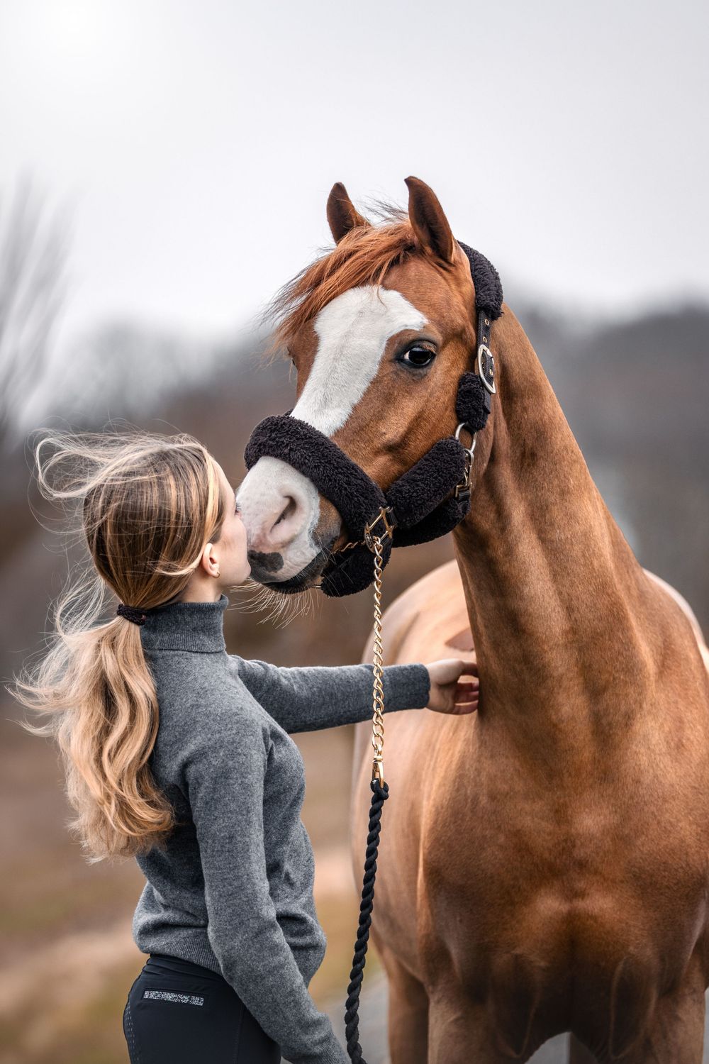 Fresia Visuals Equine