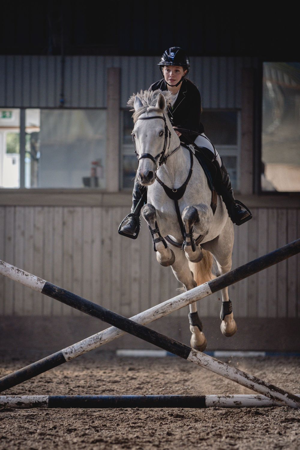 Fresia Visuals Equine