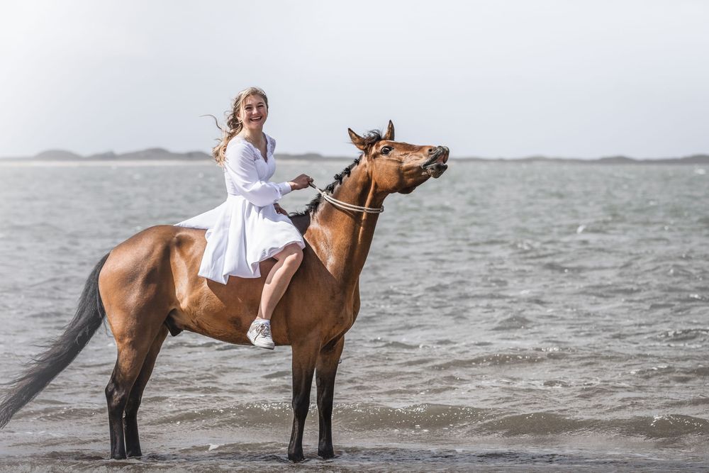 Fresia Visuals Equine