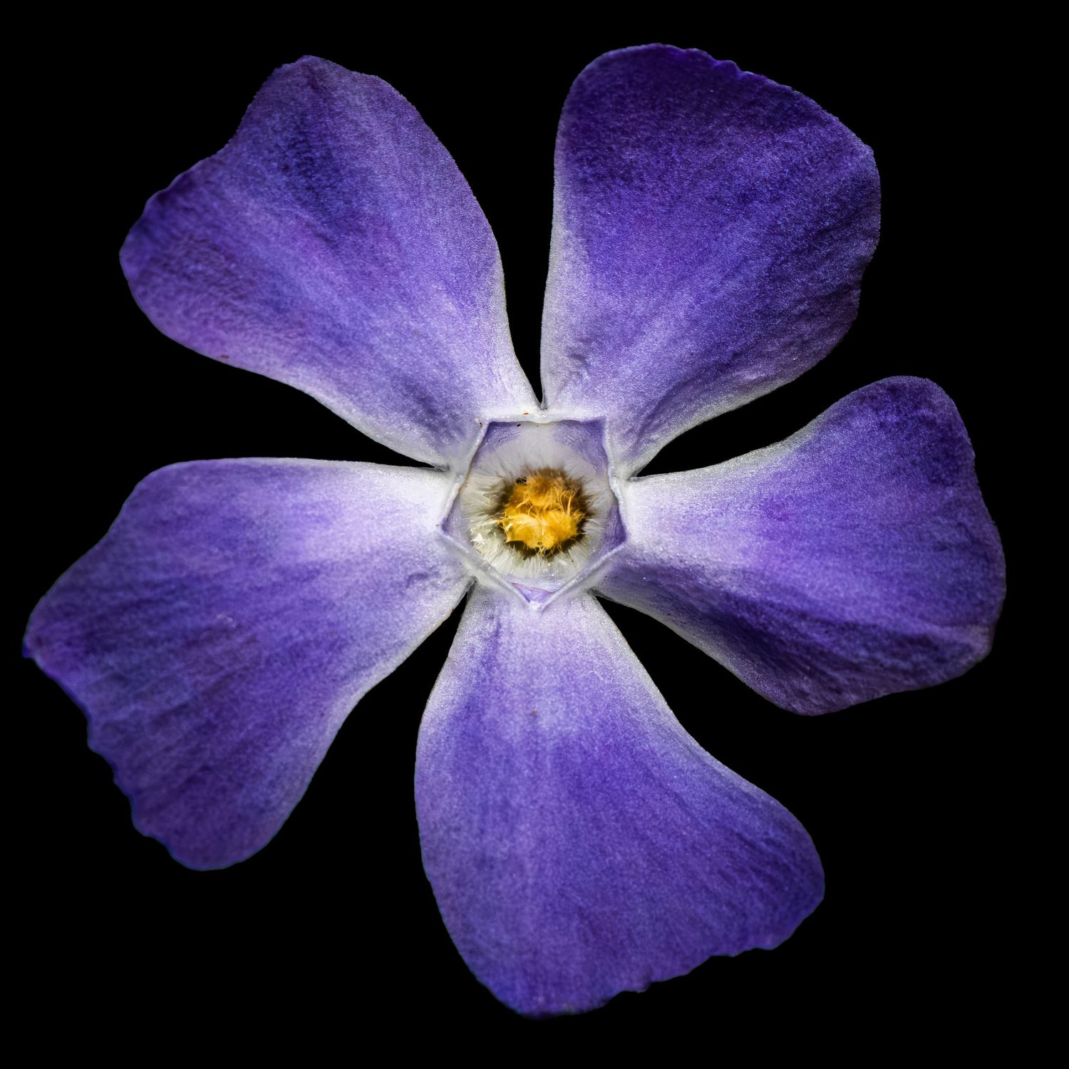 John Peters Photography