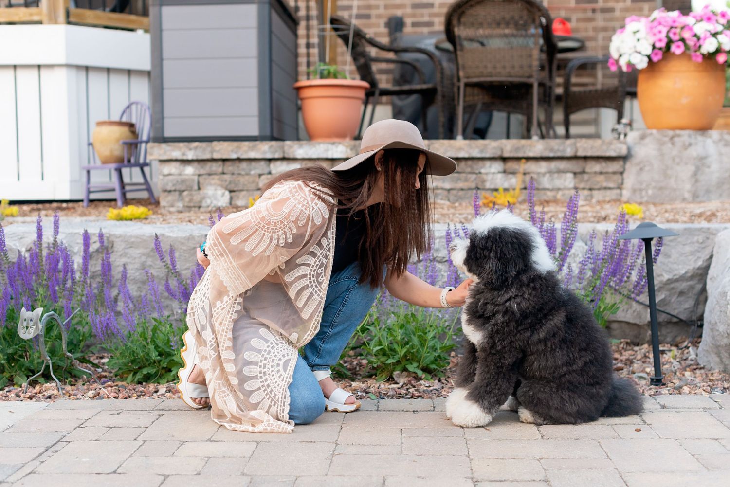 Two pets relax together on a stone patio with purple flowers and garden decor in the background.