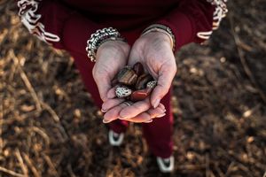 Hands planting small seedlings into dark rich soil in a garden bed.