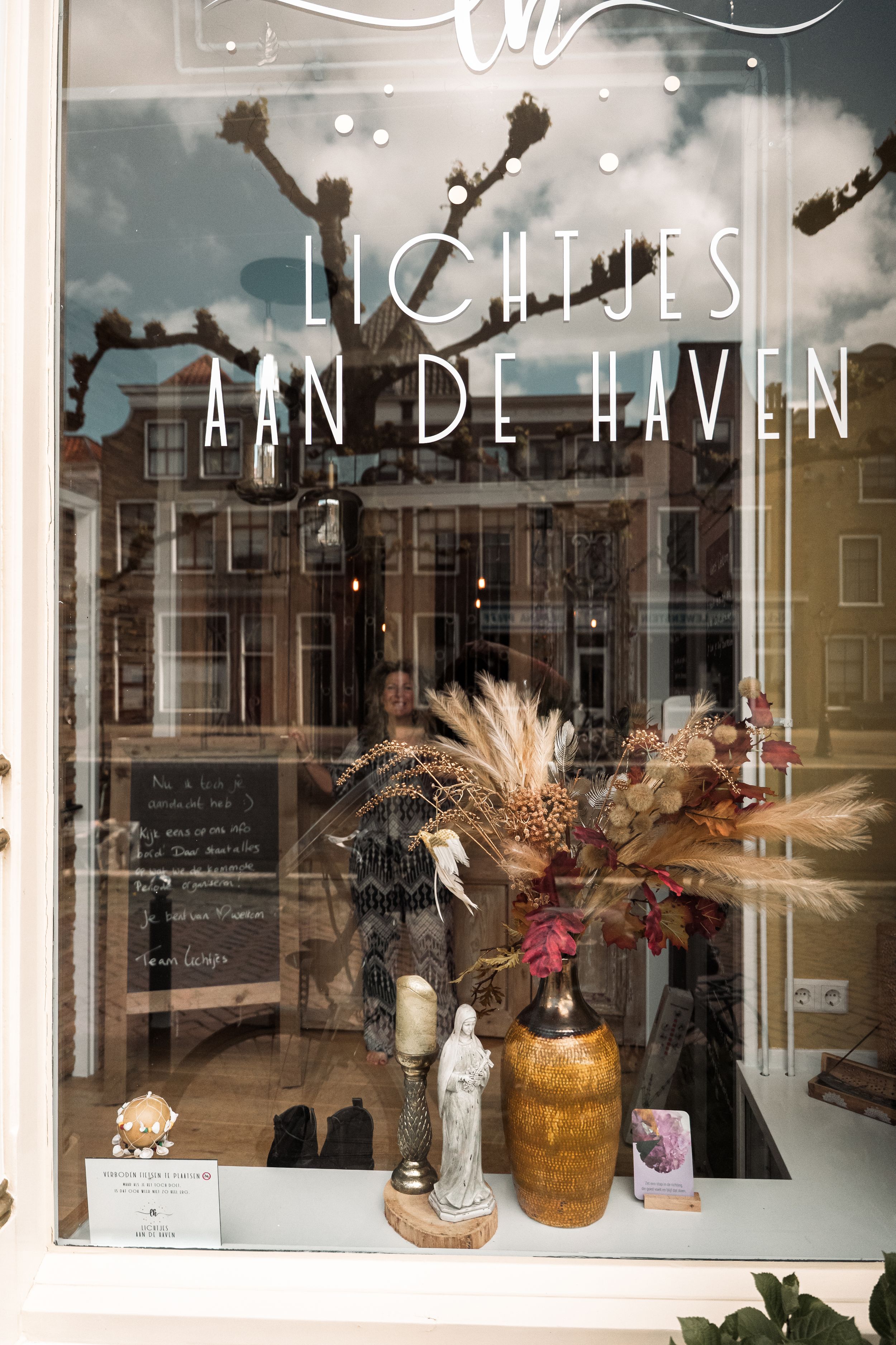 Storefront window displays featuring dried floral arrangements and decorative items in a modern boutique setting.