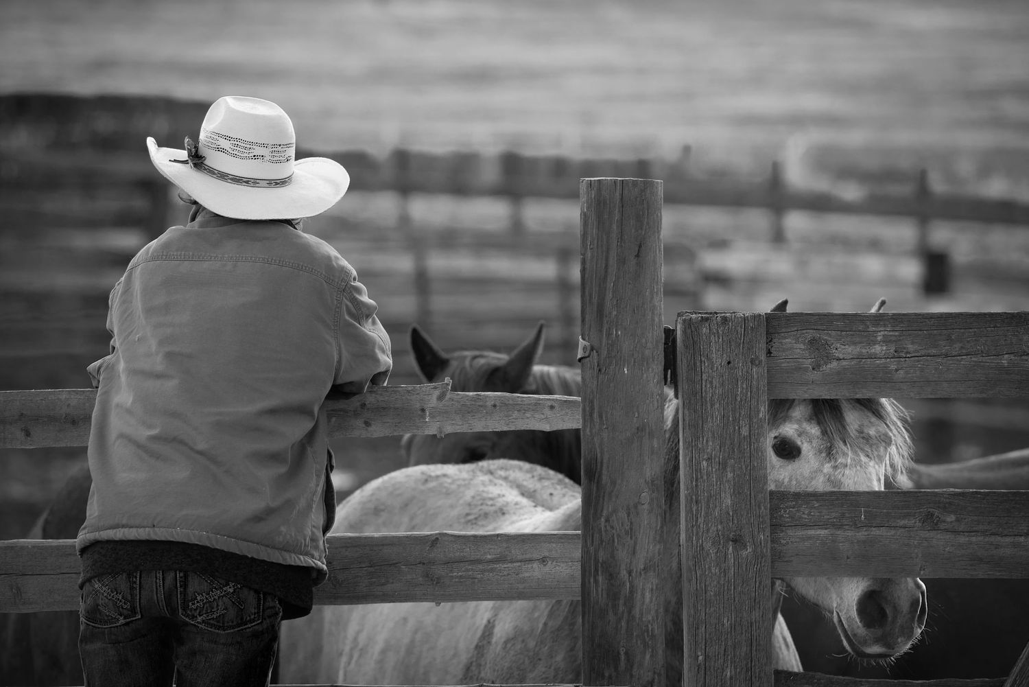 A black and white panoramic view of horses and riders at a rustic wooden fence in a rural setting.