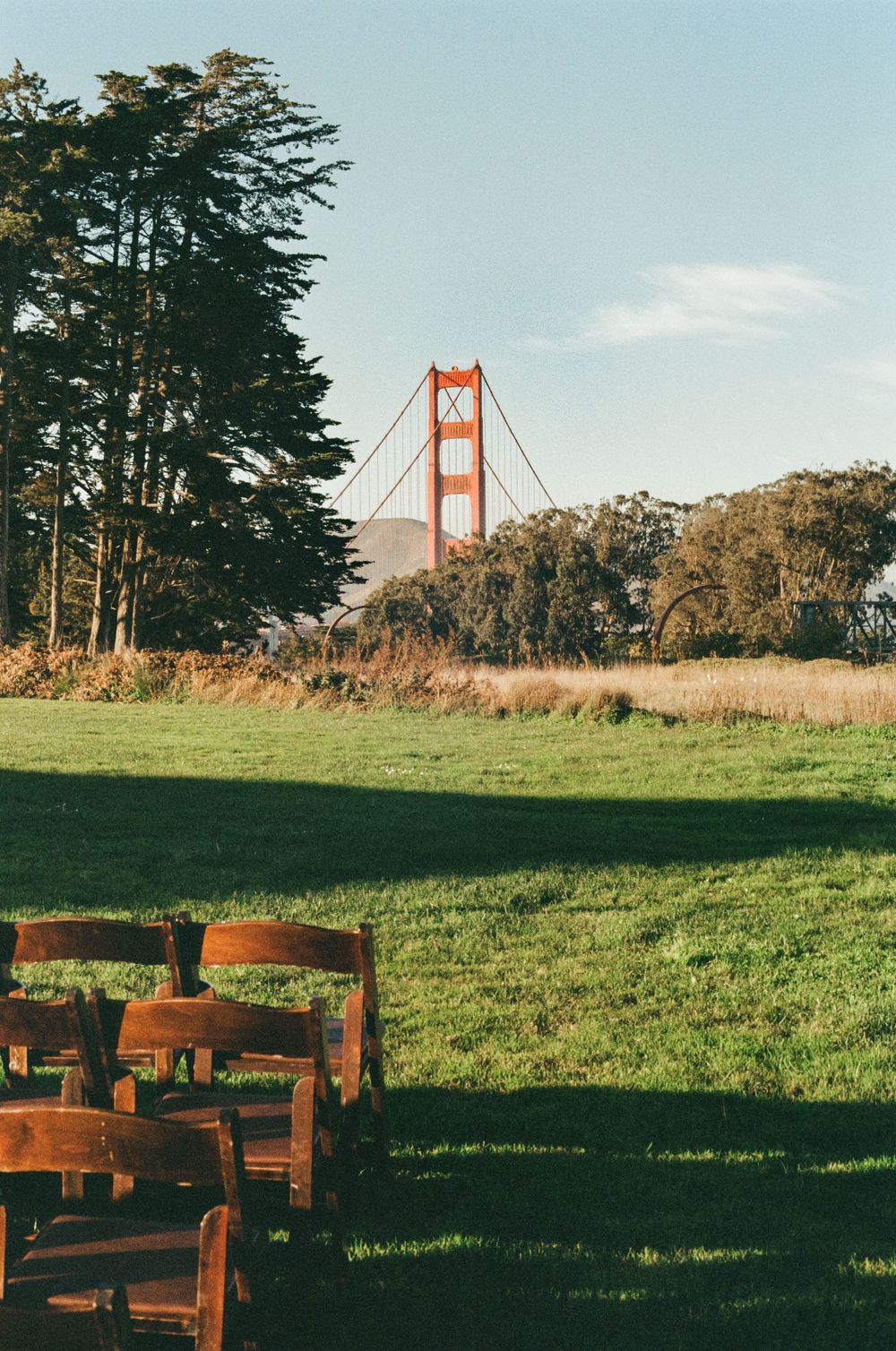 Wooden benches overlooking the iconic Golden Gate Bridge through cypress trees in San Francisco's Presidio park.