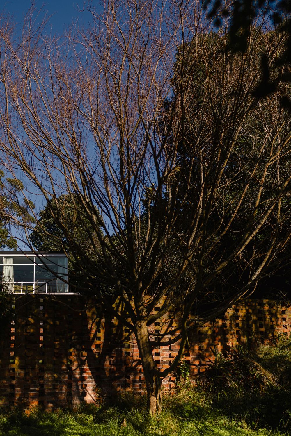 Wilson House architectural photography, Don Wilson Mid Century home, Whanganui, Manawatu, Palmerston North, Taranaki, New Zealand