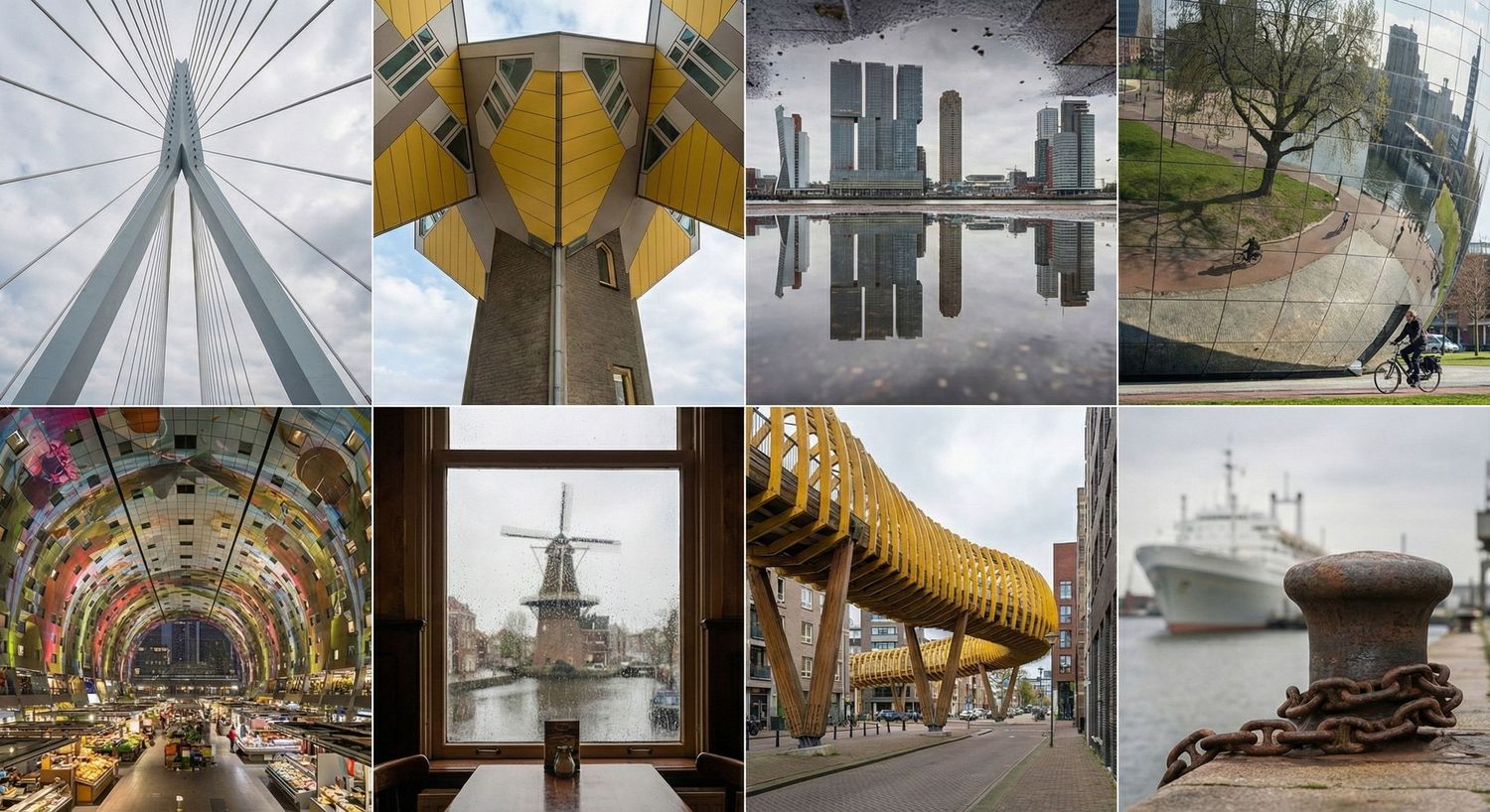 fotograferen in Rotterdam