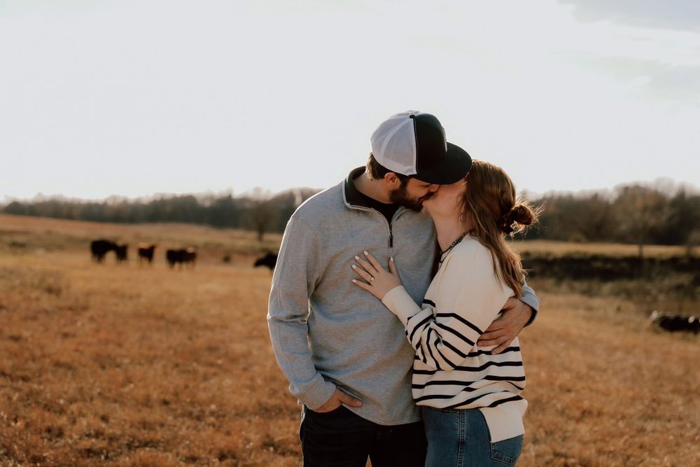 Couple sharing a romantic kiss in a golden field with cattle grazing in the background at sunset.