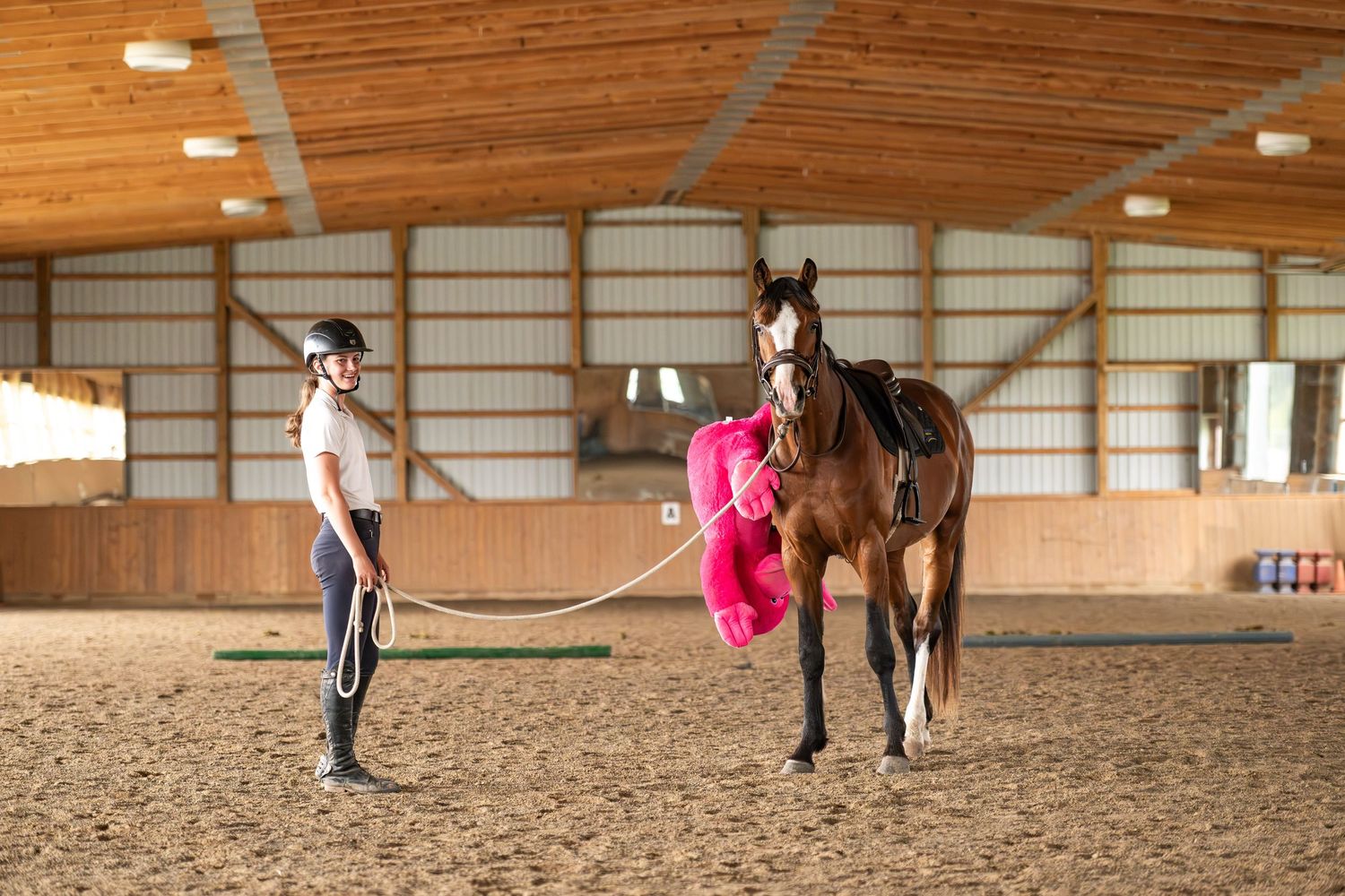 Equestrian training session in an indoor arena with multiple riders practicing with their horses.