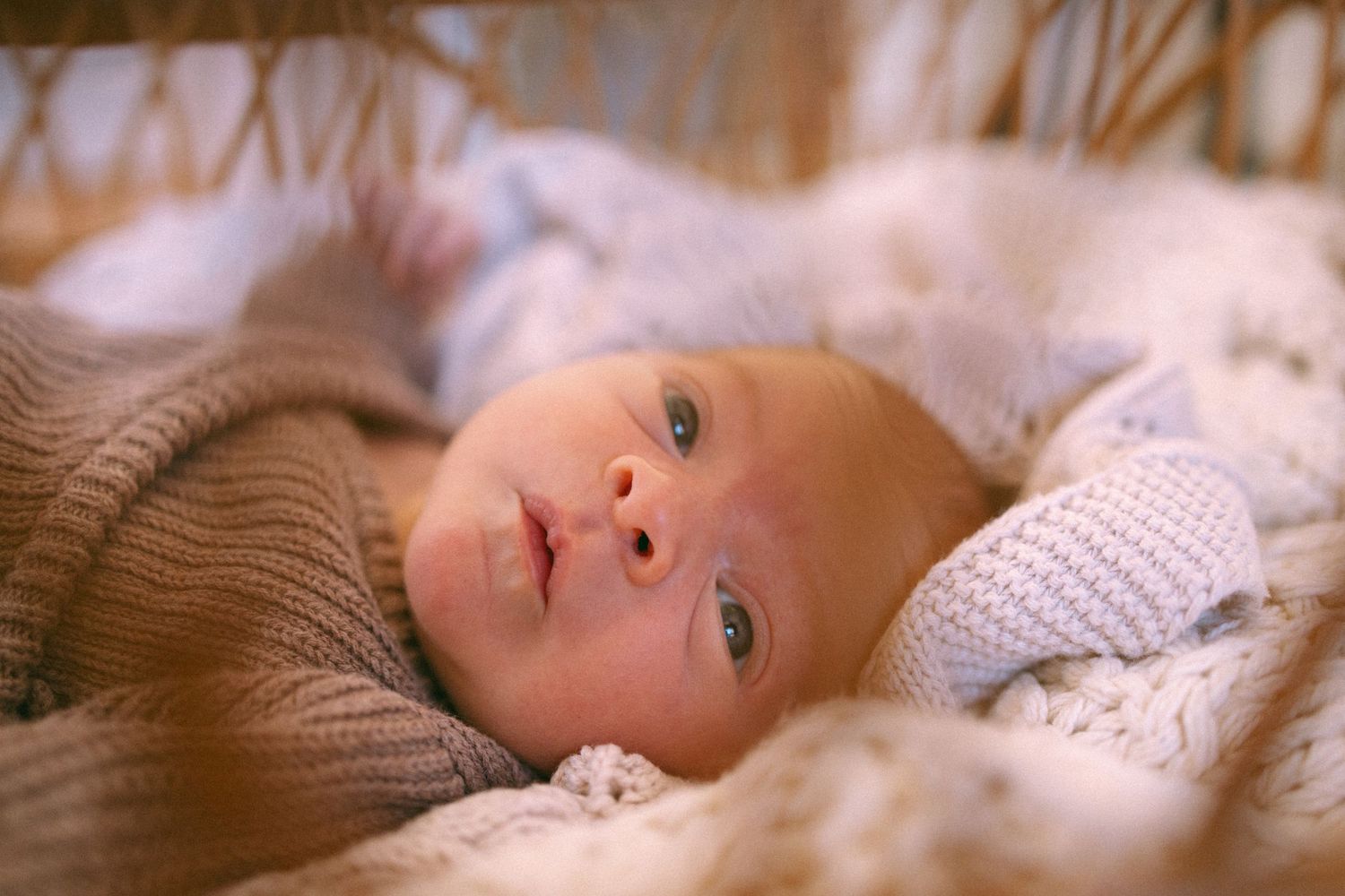 Geelong Lara Torquay Ocean Grove Barwon Heads newborn maternity pregnancy family motherhood couples photographer photography photoshoot