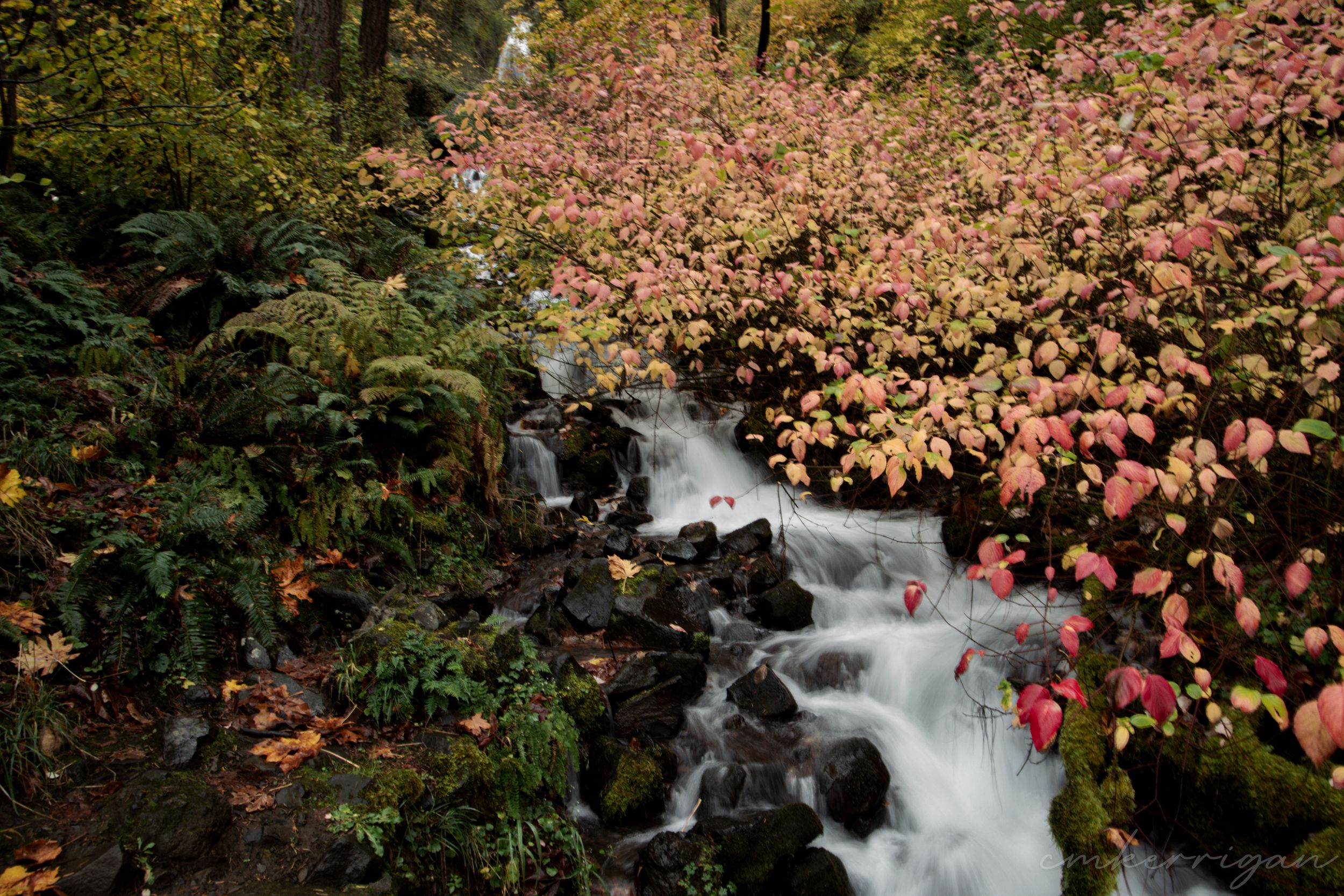 Cascading waterfall surrounded by pink cherry blossoms in a Japanese garden setting.