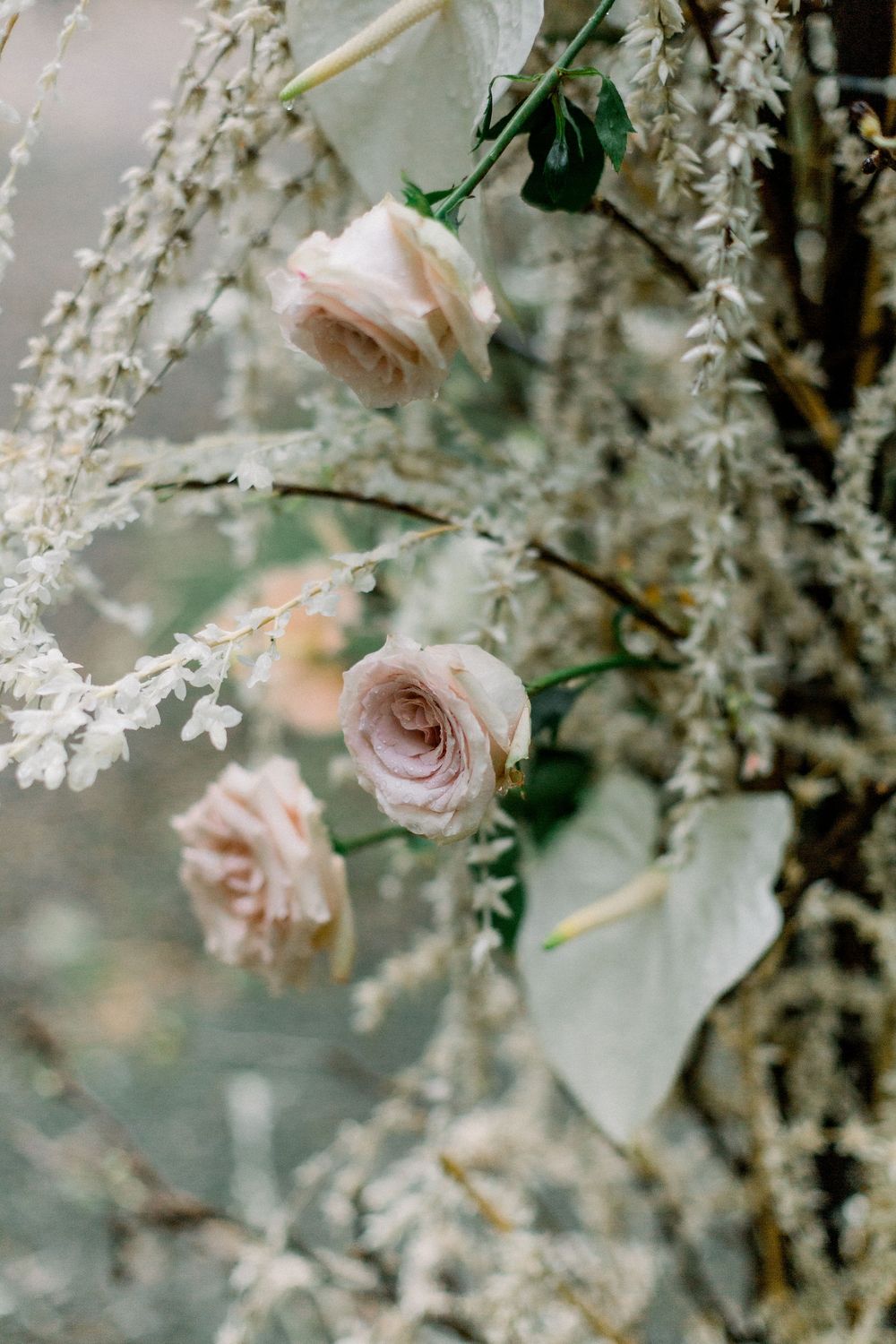 Delicate pink roses and white astilbe flowers create a soft, romantic garden composition in muted tones.
